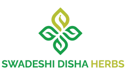 Swadeshi-Disha2.webp